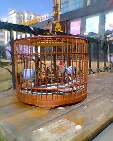 照片0055.jpg