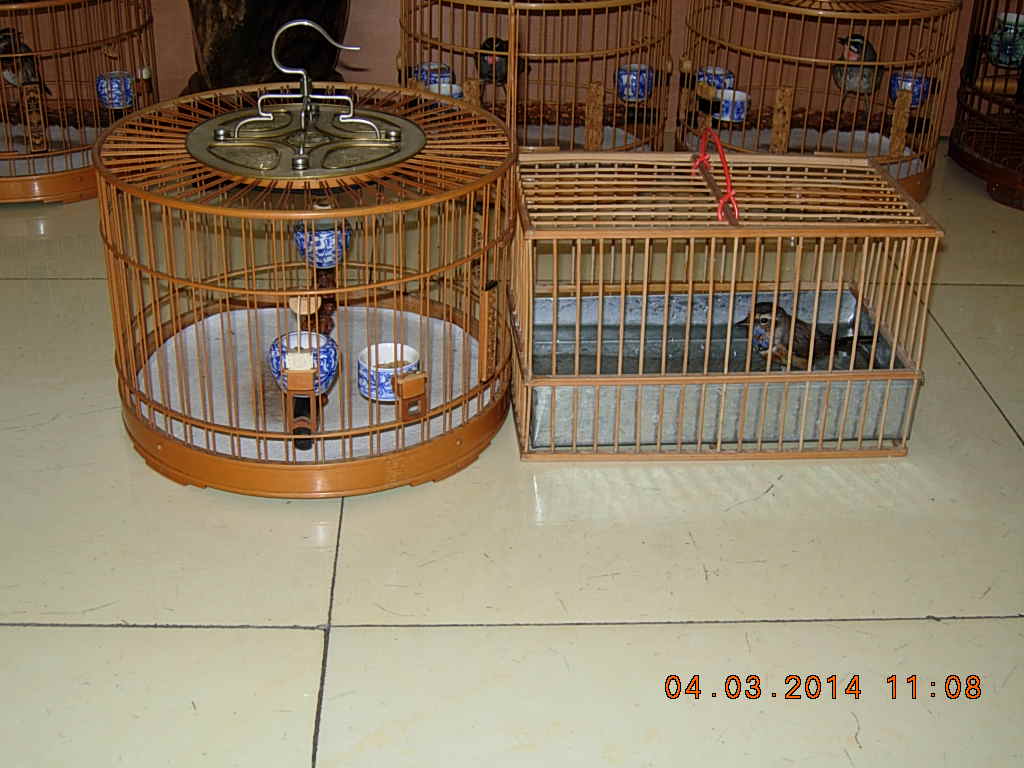 DSCN3408.JPG