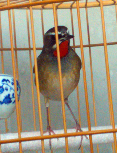 WP_001066_副本.jpg