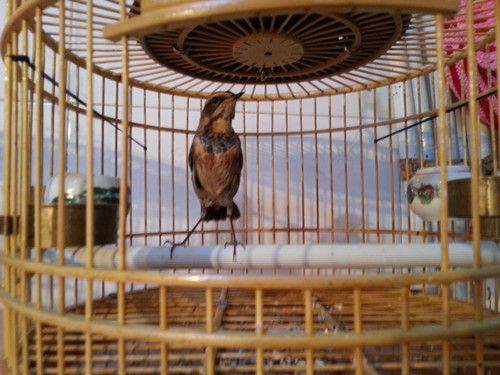 20140302_193702_副本.jpg