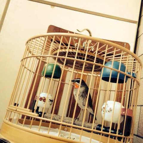 nEO_IMG_IMG_1139.jpg