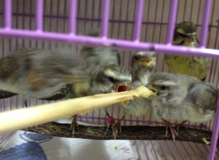 QQ图片20140325231423.jpg