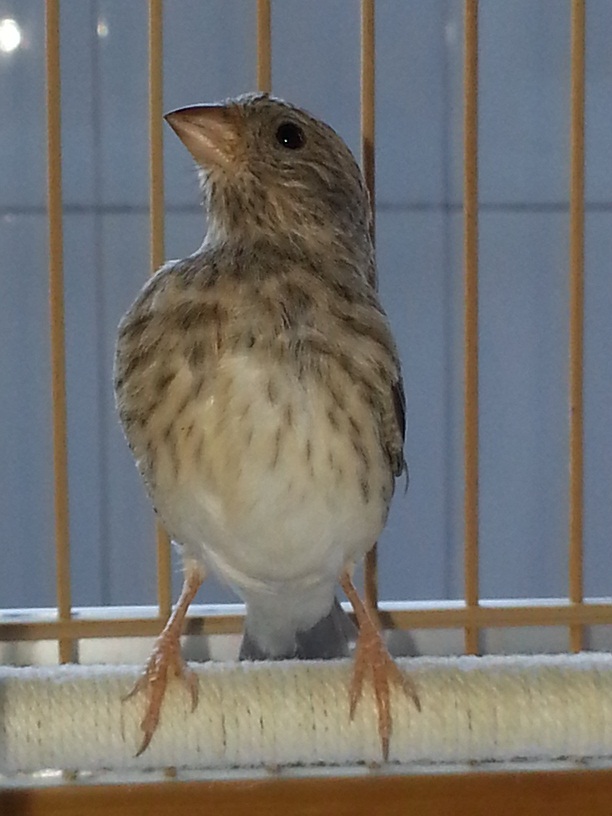 20140330_142306.jpg