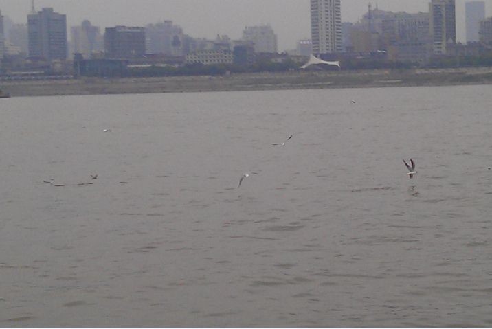 QQ图片20140327210203.jpg