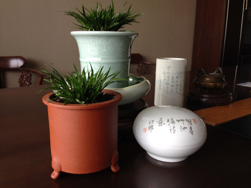 nEO_IMG_2014-03-10 14.02.30.jpg