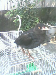 IMG0073A.jpg