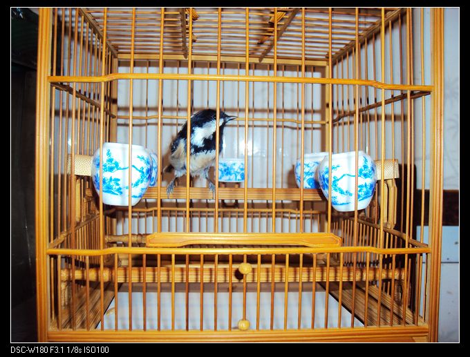 nEO_IMG_DSC01486.jpg