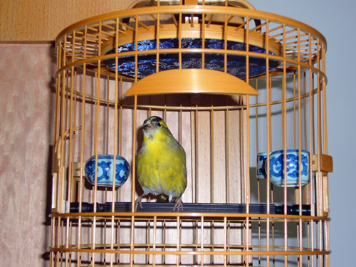 P1060028_副本.jpg