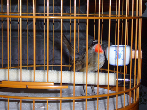 P1060195_副本.jpg