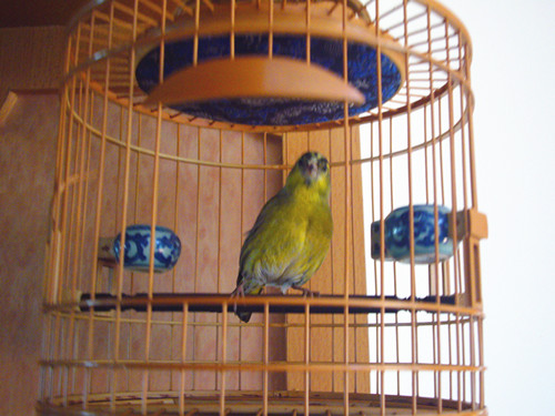 P1050990_副本.jpg