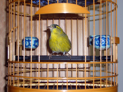 P1060024_副本.jpg