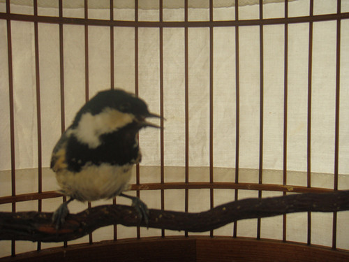 DSC01961.JPG