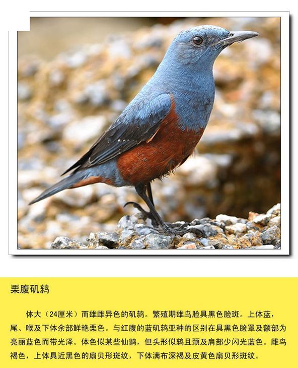 qn-051_副本.jpg