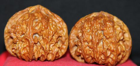 3.8日的照片 658.jpg