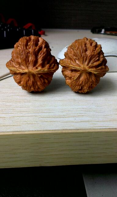 rps20140331_150200_258.jpg
