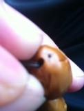 QQ图片20140303220851.jpg