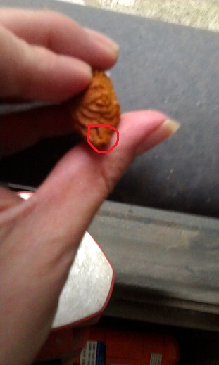IMAG0205.jpg