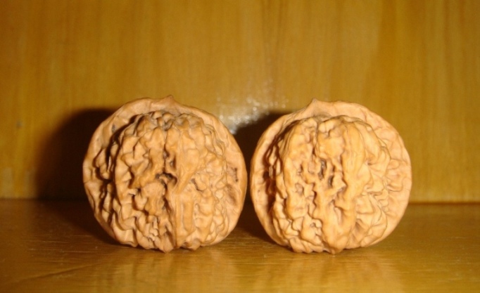 麒麟纹2.JPG