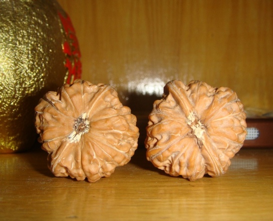 DSC01308.JPG