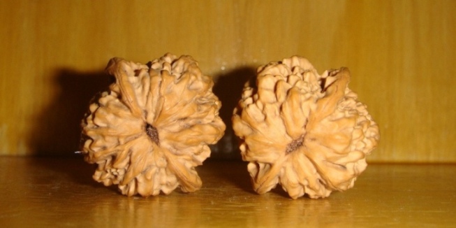 麒麟纹6.JPG
