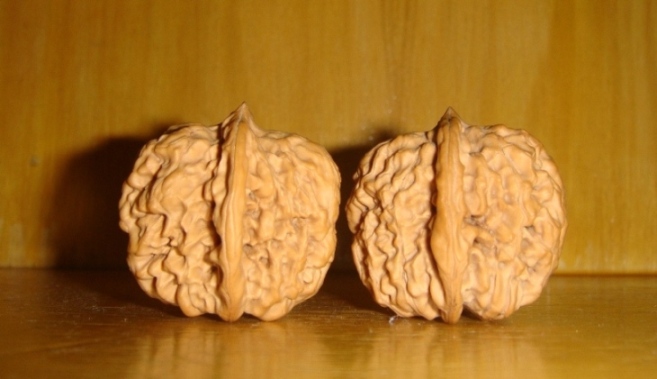 麒麟纹3.JPG