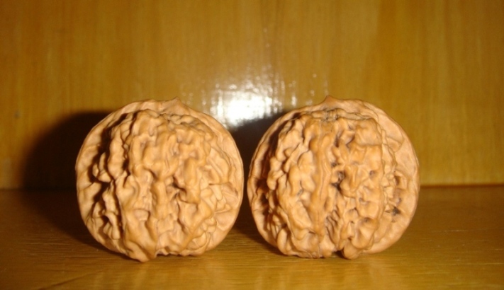 麒麟纹1.JPG