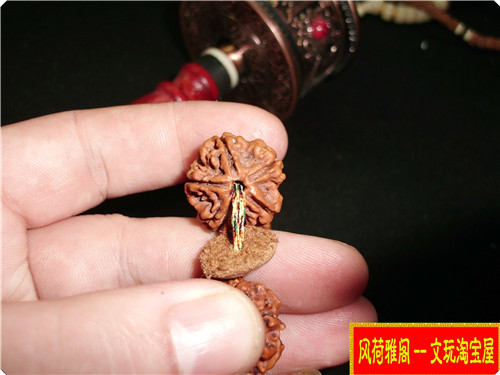 CIMG8583_副本.jpg