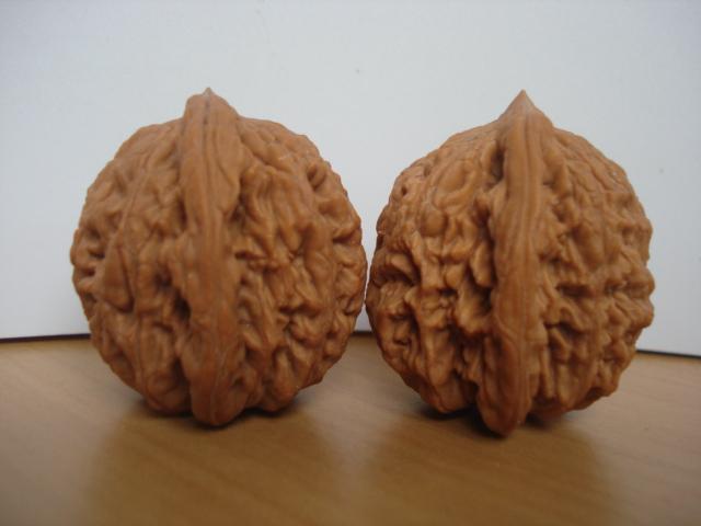 DSC06137.JPG