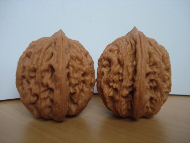 DSC06138.JPG