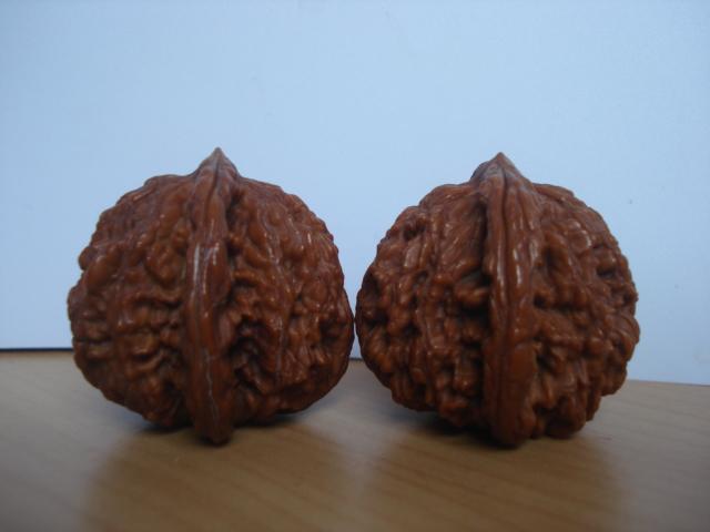 DSC06113.JPG