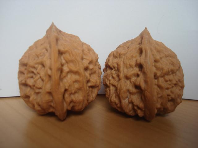 DSC06226.JPG