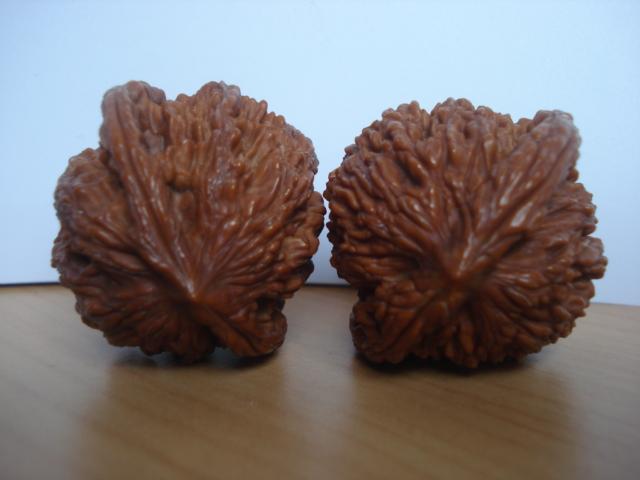 DSC06118.JPG