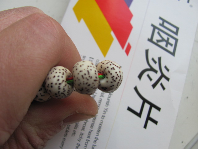 琥珀 042.jpg