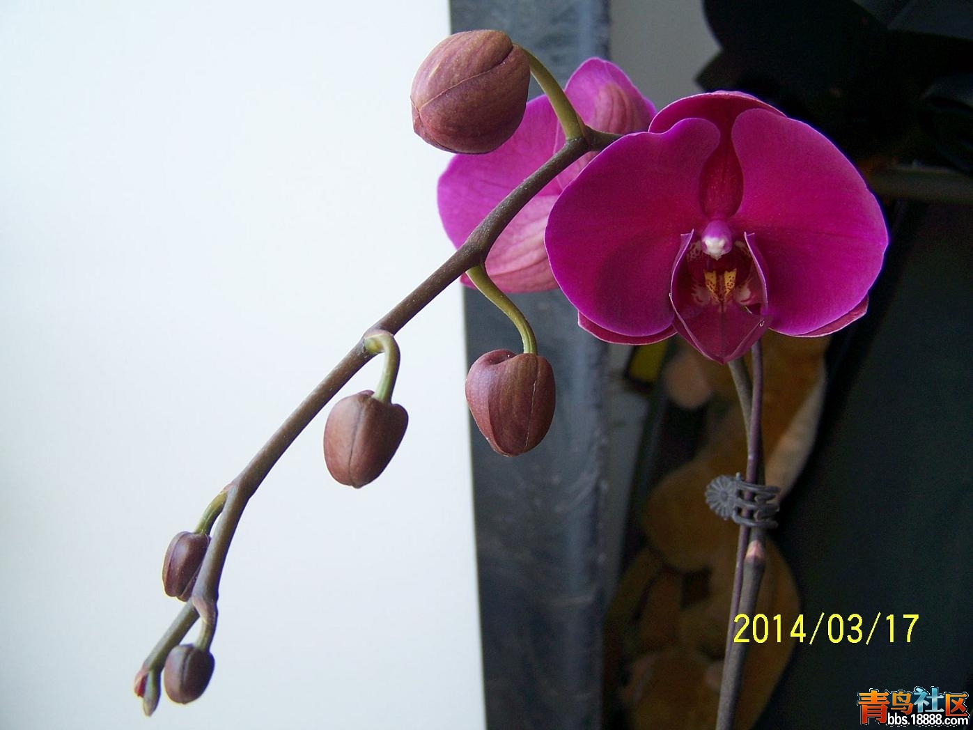 2014年002.JPG
