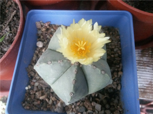20140327_180124.jpg