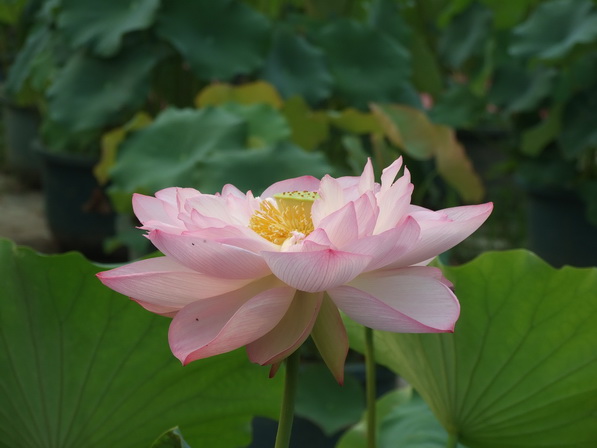 DSCF0441_调整大小.JPG