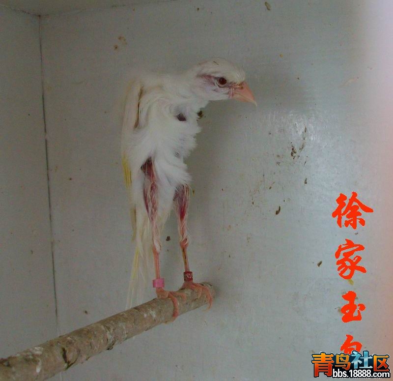 100_8872.jpg