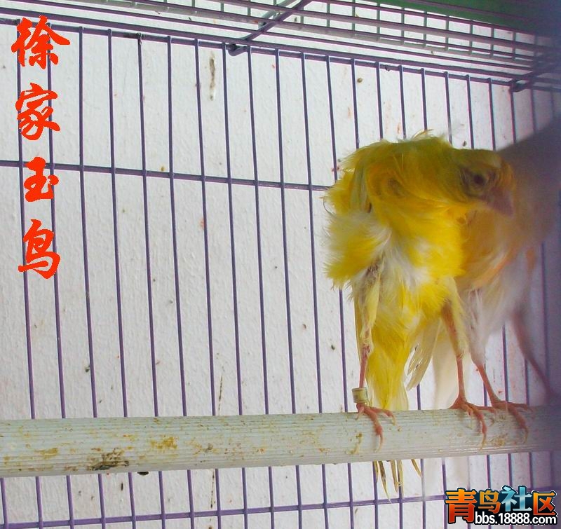 100_8812.jpg