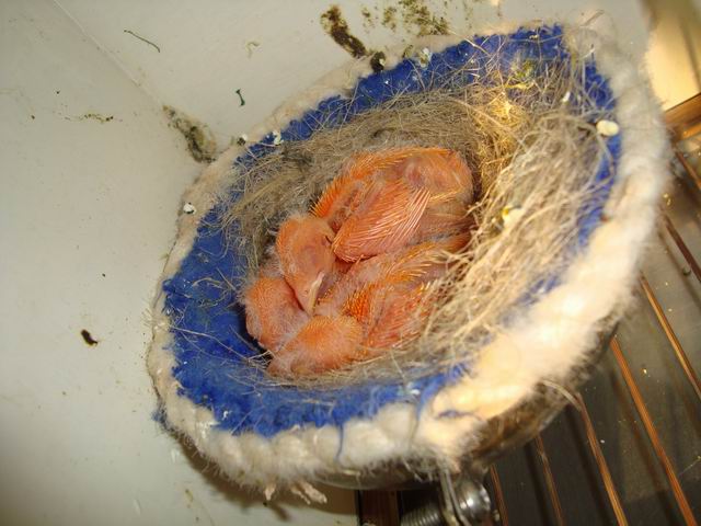 调整大小 DSC03579.JPG