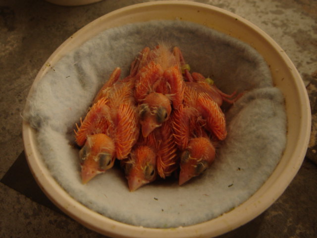 DSC00040.JPG
