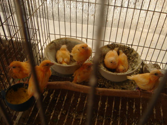 DSC00034.JPG
