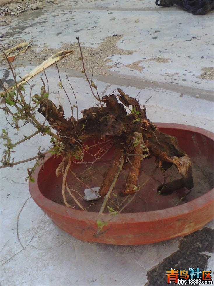 IMG_20140407_175239429_看图王.jpg