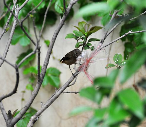 DSC_0044.JPG