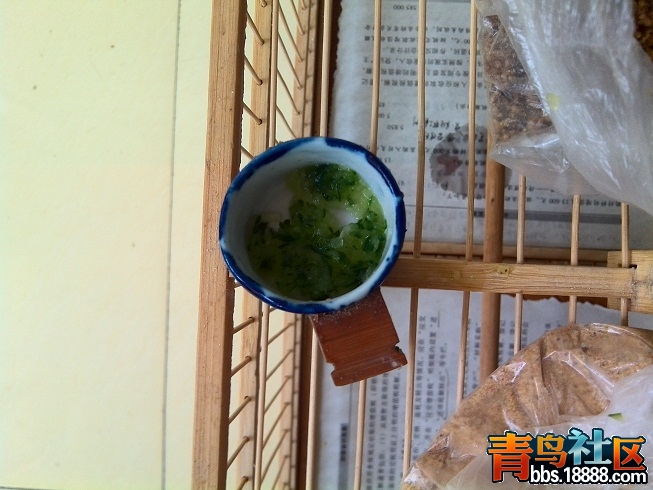 IMG_20140429_072337.jpg