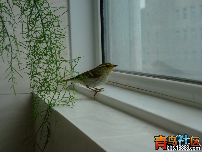 P1060009_调整大小.jpg