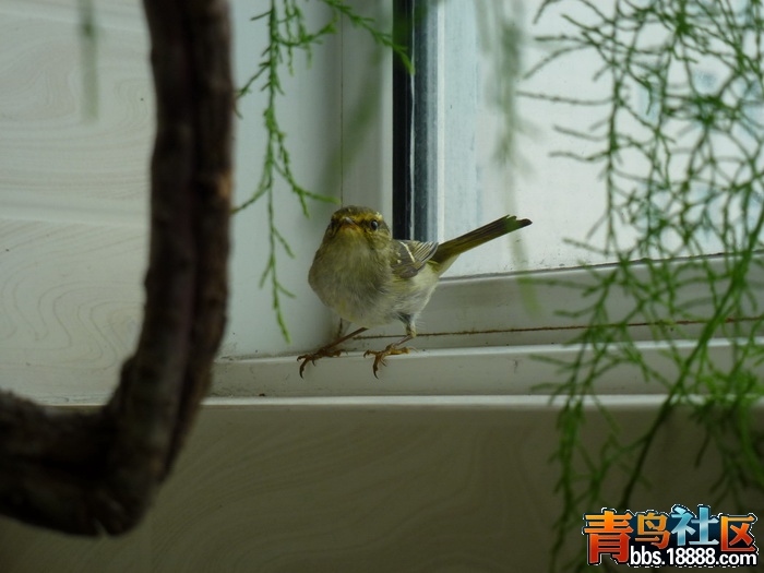 P1060108_调整大小.jpg