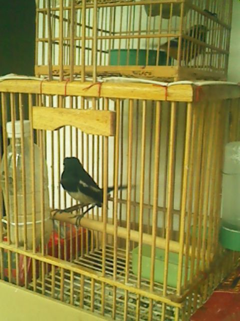 21_315701_180a1efbbf2423c.jpg