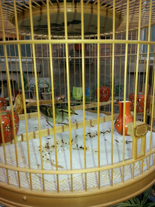 20140412_142153_副本.jpg