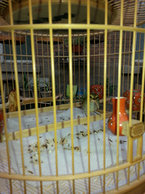 20140412_142206_副本.jpg