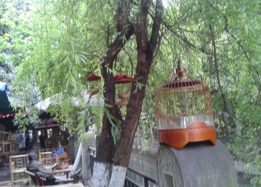 QQ图片20140419153302.jpg
